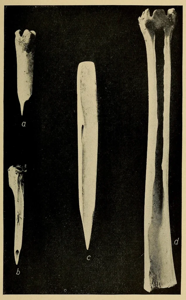 An illustration from A basket-maker cave in Kane County, Utah, 1922, leaf 195