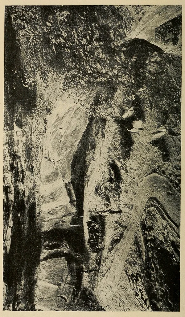 An illustration from A basket-maker cave in Kane County, Utah, 1922, leaf 28