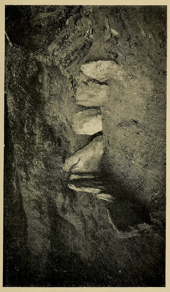 An illustration from A basket-maker cave in Kane County, Utah, 1922, leaf 55