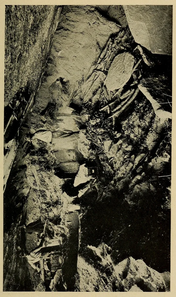 An illustration from A basket-maker cave in Kane County, Utah, 1922, leaf 89