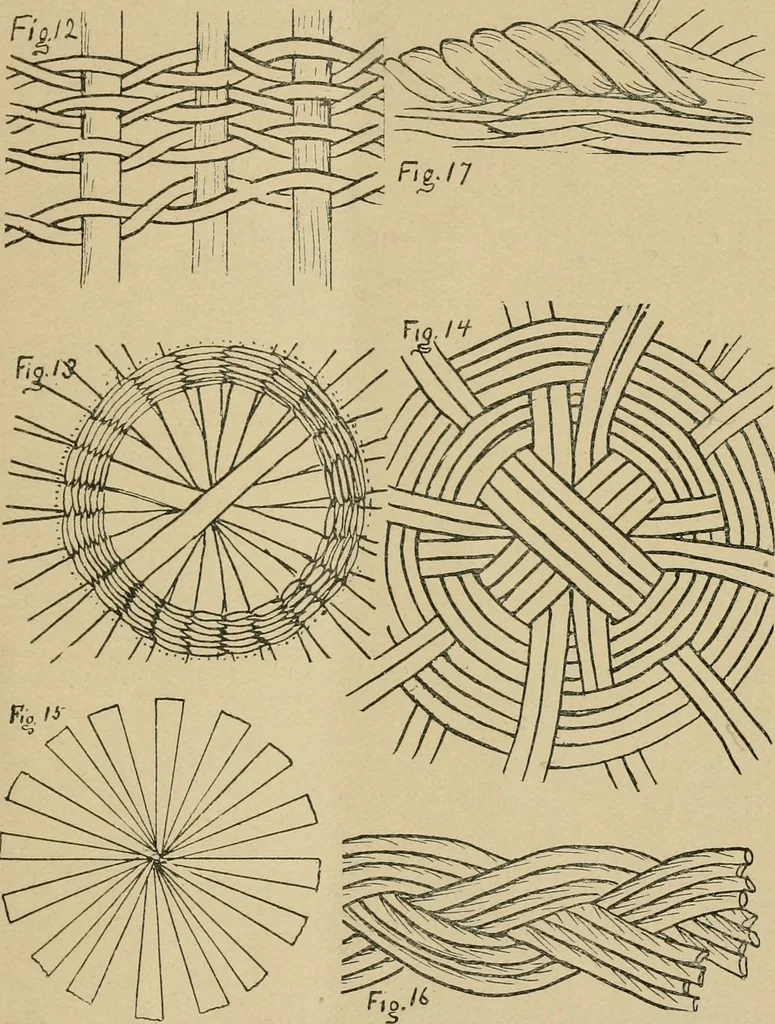 An illustration from Basket making .., 1902, leaf 16