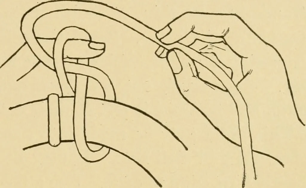 An illustration from Basketry and weaving in the school, 1904, leaf 10