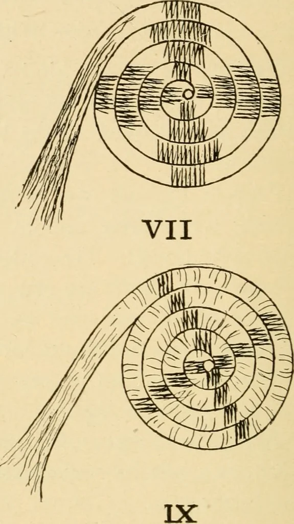 An illustration from Basketry and weaving in the school, 1904, leaf 13