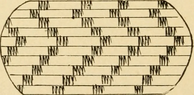 An illustration from Basketry and weaving in the school, 1904, leaf 13
