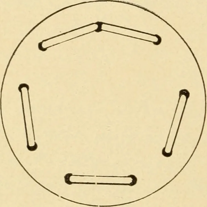 An illustration from Basketry and weaving in the school, 1904, leaf 19