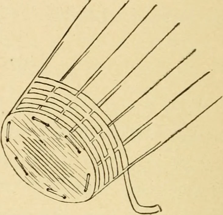 An illustration from Basketry and weaving in the school, 1904, leaf 19