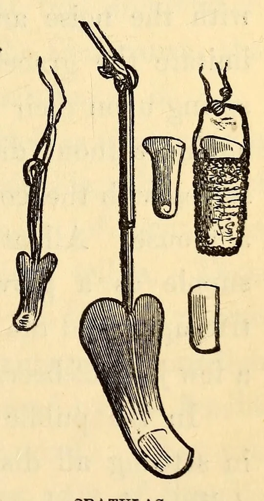 An illustration from The Basutos : or, twenty-three years in South Africa, 1861, leaf 177