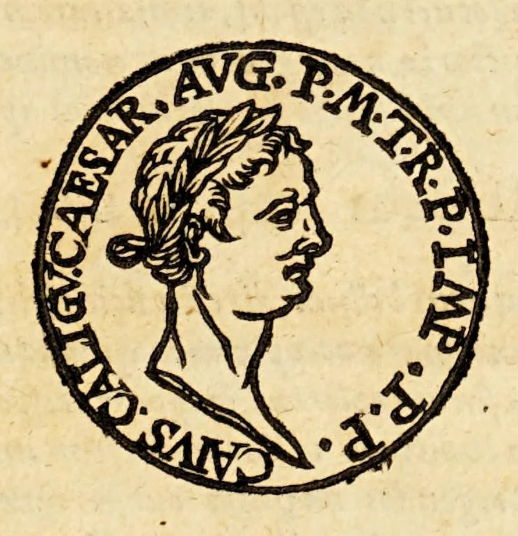 An illustration from Batavia illustrata, seu De Batavorum insula, Hollandia, Zelandia, Frisia, territorio Traiectensi et Gelria, : scriptores varij notae melioris, nunc primùm collecti, simulqúe editi., 1609, leaf 181