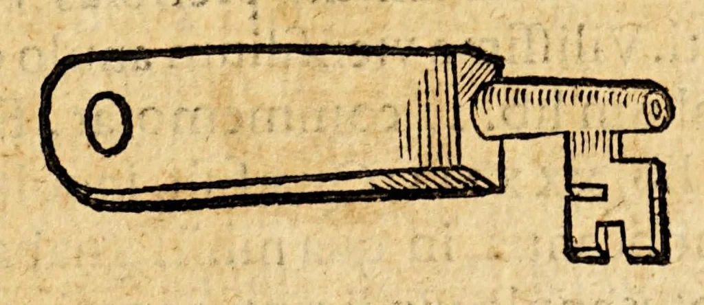 An illustration from Batavia illustrata, seu De Batavorum insula, Hollandia, Zelandia, Frisia, territorio Traiectensi et Gelria, : scriptores varij notae melioris, nunc primùm collecti, simulqúe editi., 1609, leaf 201