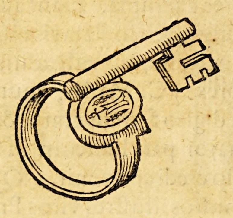 An illustration from Batavia illustrata, seu De Batavorum insula, Hollandia, Zelandia, Frisia, territorio Traiectensi et Gelria, : scriptores varij notae melioris, nunc primùm collecti, simulqúe editi., 1609, leaf 204