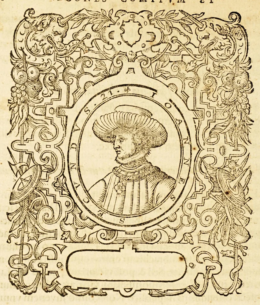 An illustration from Batavia illustrata, seu De Batavorum insula, Hollandia, Zelandia, Frisia, territorio Traiectensi et Gelria, : scriptores varij notae melioris, nunc primùm collecti, simulqúe editi., 1609, leaf 302