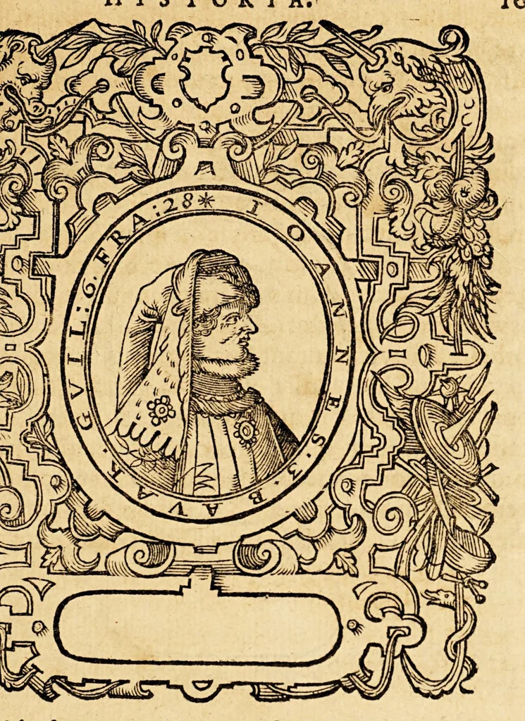 An illustration from Batavia illustrata, seu De Batavorum insula, Hollandia, Zelandia, Frisia, territorio Traiectensi et Gelria, : scriptores varij notae melioris, nunc primùm collecti, simulqúe editi., 1609, leaf 351