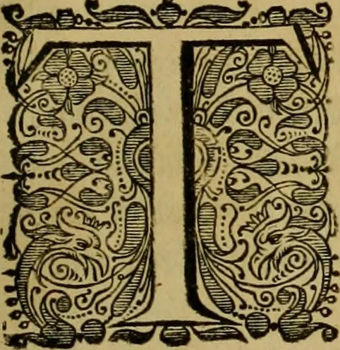 An illustration from Legatio Batavica ad magnum Tartariae chamum Sungteium, modernum Sinae imperatorem : historiarum narratione, quae legatis in provinciis Quantung, Kiangsi, Nanking, Xantung, Peking, & aula imperatoriâ ab anno 1655 ad annum 1657 obtigerunt, ut & ardua Sinensium in bello Tartarico fortunâ, provinciarum accurata geographia, urbium delineatione, nec non artis & naturae miraculis ex animalium, vegetabilium, mineralium genere per centum & quinquaginta aeneas figuras passim illustrata & conscripta vernacule, 1668, leaf 194