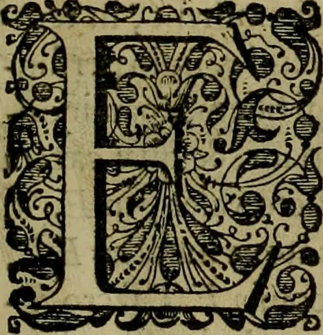 An illustration from Legatio Batavica ad magnum Tartariae chamum Sungteium, modernum Sinae imperatorem : historiarum narratione, quae legatis in provinciis Quantung, Kiangsi, Nanking, Xantung, Peking, & aula imperatoriâ ab anno 1655 ad annum 1657 obtigerunt, ut & ardua Sinensium in bello Tartarico fortunâ, provinciarum accurata geographia, urbium delineatione, nec non artis & naturae miraculis ex animalium, vegetabilium, mineralium genere per centum & quinquaginta aeneas figuras passim illustrata & conscripta vernacule, 1668, leaf 20