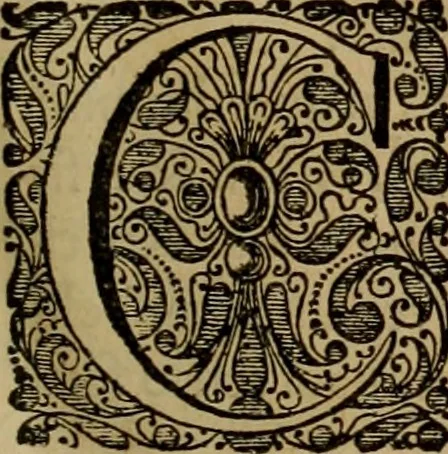 An illustration from Legatio Batavica ad magnum Tartariae chamum Sungteium, modernum Sinae imperatorem : historiarum narratione, quae legatis in provinciis Quantung, Kiangsi, Nanking, Xantung, Peking, & aula imperatoriâ ab anno 1655 ad annum 1657 obtigerunt, ut & ardua Sinensium in bello Tartarico fortunâ, provinciarum accurata geographia, urbium delineatione, nec non artis & naturae miraculis ex animalium, vegetabilium, mineralium genere per centum & quinquaginta aeneas figuras passim illustrata & conscripta vernacule, 1668, leaf 24