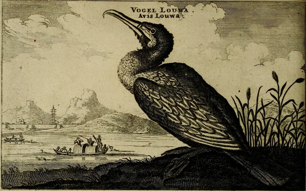 An illustration from Legatio Batavica ad magnum Tartariae chamum Sungteium, modernum Sinae imperatorem : historiarum narratione, quae legatis in provinciis Quantung, Kiangsi, Nanking, Xantung, Peking, & aula imperatoriâ ab anno 1655 ad annum 1657 obtigerunt, ut & ardua Sinensium in bello Tartarico fortunâ, provinciarum accurata geographia, urbium delineatione, nec non artis & naturae miraculis ex animalium, vegetabilium, mineralium genere per centum & quinquaginta aeneas figuras passim illustrata & conscripta vernacule, 1668, leaf 245