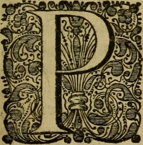 An illustration from Legatio Batavica ad magnum Tartariae chamum Sungteium, modernum Sinae imperatorem : historiarum narratione, quae legatis in provinciis Quantung, Kiangsi, Nanking, Xantung, Peking, & aula imperatoriâ ab anno 1655 ad annum 1657 obtigerunt, ut & ardua Sinensium in bello Tartarico fortunâ, provinciarum accurata geographia, urbium delineatione, nec non artis & naturae miraculis ex animalium, vegetabilium, mineralium genere per centum & quinquaginta aeneas figuras passim illustrata & conscripta vernacule, 1668, leaf 288