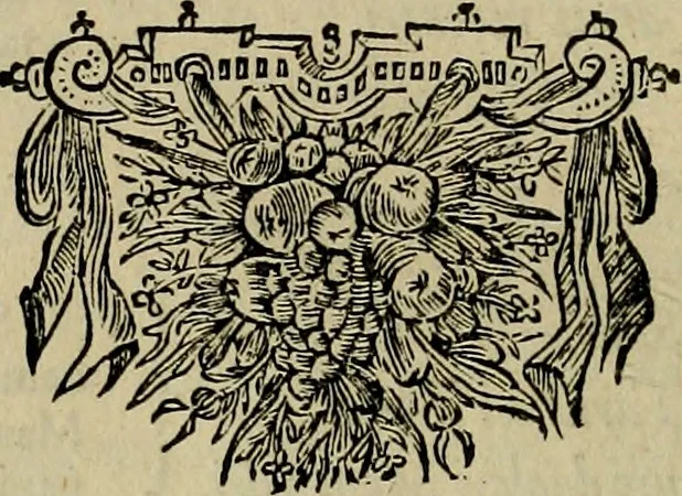 An illustration from Legatio Batavica ad magnum Tartariae chamum Sungteium, modernum Sinae imperatorem : historiarum narratione, quae legatis in provinciis Quantung, Kiangsi, Nanking, Xantung, Peking, & aula imperatoriâ ab anno 1655 ad annum 1657 obtigerunt, ut & ardua Sinensium in bello Tartarico fortunâ, provinciarum accurata geographia, urbium delineatione, nec non artis & naturae miraculis ex animalium, vegetabilium, mineralium genere per centum & quinquaginta aeneas figuras passim illustrata & conscripta vernacule, 1668, leaf 321