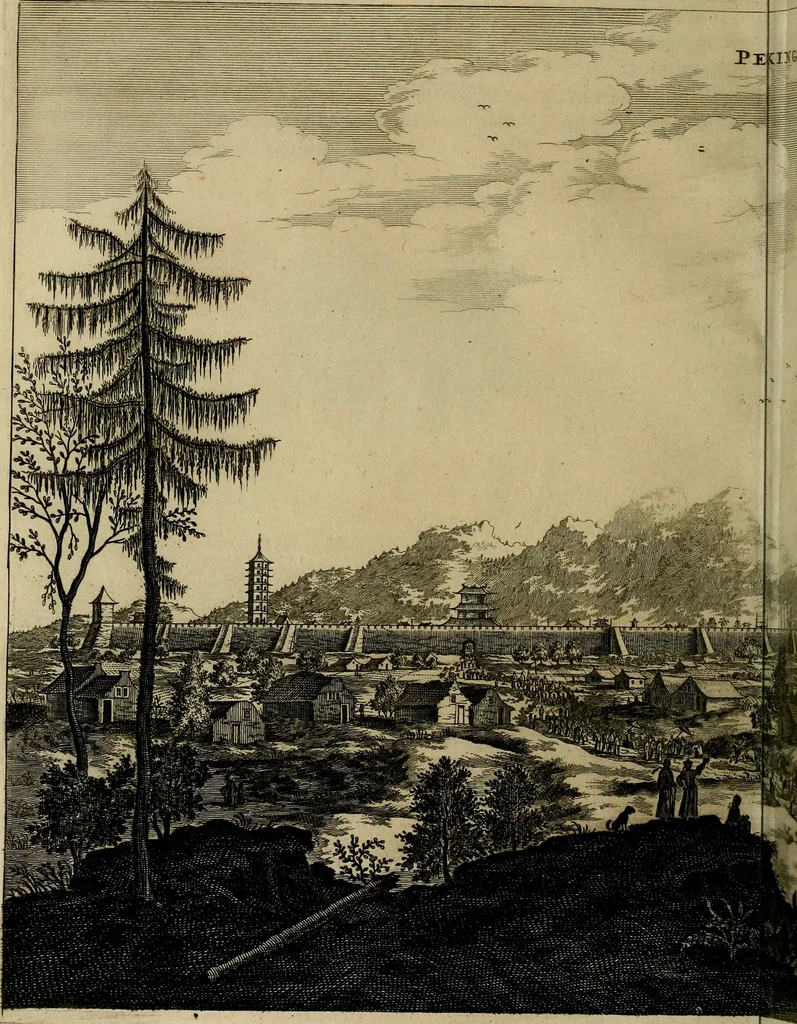 An illustration from Legatio Batavica ad magnum Tartariae chamum Sungteium, modernum Sinae imperatorem : historiarum narratione, quae legatis in provinciis Quantung, Kiangsi, Nanking, Xantung, Peking, & aula imperatoriâ ab anno 1655 ad annum 1657 obtigerunt, ut & ardua Sinensium in bello Tartarico fortunâ, provinciarum accurata geographia, urbium delineatione, nec non artis & naturae miraculis ex animalium, vegetabilium, mineralium genere per centum & quinquaginta aeneas figuras passim illustrata & conscripta vernacule, 1668, leaf 323