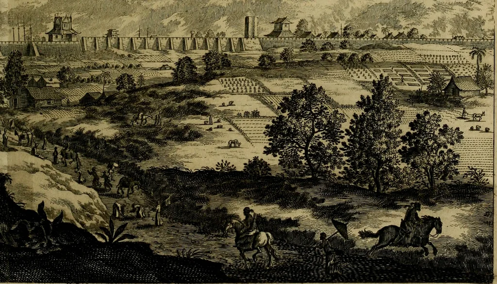 An illustration from Legatio Batavica ad magnum Tartariae chamum Sungteium, modernum Sinae imperatorem : historiarum narratione, quae legatis in provinciis Quantung, Kiangsi, Nanking, Xantung, Peking, & aula imperatoriâ ab anno 1655 ad annum 1657 obtigerunt, ut & ardua Sinensium in bello Tartarico fortunâ, provinciarum accurata geographia, urbium delineatione, nec non artis & naturae miraculis ex animalium, vegetabilium, mineralium genere per centum & quinquaginta aeneas figuras passim illustrata & conscripta vernacule, 1668, leaf 324