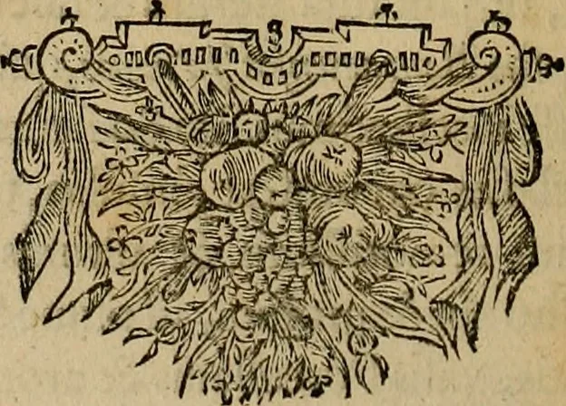 An illustration from Legatio Batavica ad magnum Tartariae chamum Sungteium, modernum Sinae imperatorem : historiarum narratione, quae legatis in provinciis Quantung, Kiangsi, Nanking, Xantung, Peking, & aula imperatoriâ ab anno 1655 ad annum 1657 obtigerunt, ut & ardua Sinensium in bello Tartarico fortunâ, provinciarum accurata geographia, urbium delineatione, nec non artis & naturae miraculis ex animalium, vegetabilium, mineralium genere per centum & quinquaginta aeneas figuras passim illustrata & conscripta vernacule, 1668, leaf 343
