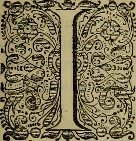 An illustration from Legatio Batavica ad magnum Tartariae chamum Sungteium, modernum Sinae imperatorem : historiarum narratione, quae legatis in provinciis Quantung, Kiangsi, Nanking, Xantung, Peking, & aula imperatoriâ ab anno 1655 ad annum 1657 obtigerunt, ut & ardua Sinensium in bello Tartarico fortunâ, provinciarum accurata geographia, urbium delineatione, nec non artis & naturae miraculis ex animalium, vegetabilium, mineralium genere per centum & quinquaginta aeneas figuras passim illustrata & conscripta vernacule, 1668, leaf 360