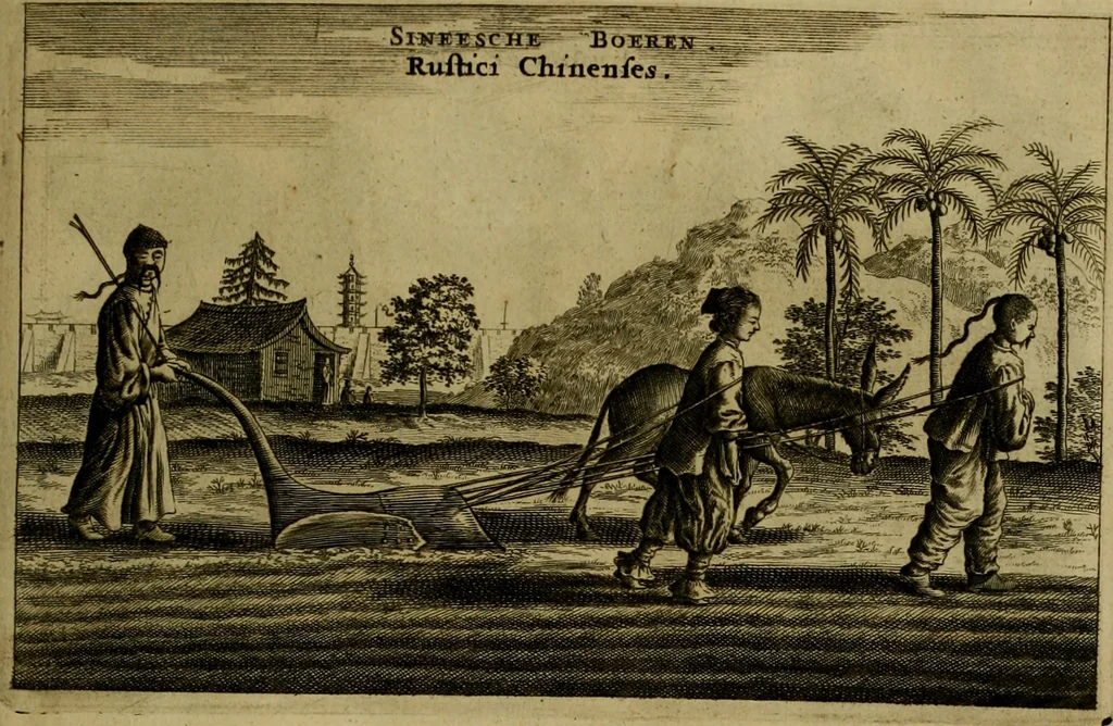 An illustration from Legatio Batavica ad magnum Tartariae chamum Sungteium, modernum Sinae imperatorem : historiarum narratione, quae legatis in provinciis Quantung, Kiangsi, Nanking, Xantung, Peking, & aula imperatoriâ ab anno 1655 ad annum 1657 obtigerunt, ut & ardua Sinensium in bello Tartarico fortunâ, provinciarum accurata geographia, urbium delineatione, nec non artis & naturae miraculis ex animalium, vegetabilium, mineralium genere per centum & quinquaginta aeneas figuras passim illustrata & conscripta vernacule, 1668, leaf 400