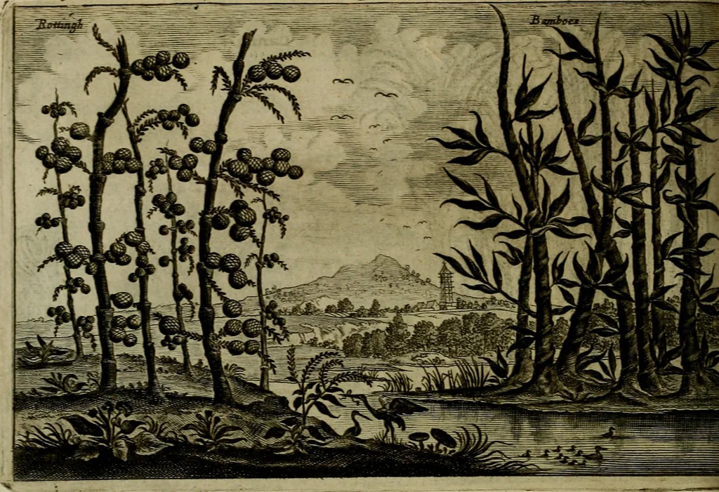 An illustration from Legatio Batavica ad magnum Tartariae chamum Sungteium, modernum Sinae imperatorem : historiarum narratione, quae legatis in provinciis Quantung, Kiangsi, Nanking, Xantung, Peking, & aula imperatoriâ ab anno 1655 ad annum 1657 obtigerunt, ut & ardua Sinensium in bello Tartarico fortunâ, provinciarum accurata geographia, urbium delineatione, nec non artis & naturae miraculis ex animalium, vegetabilium, mineralium genere per centum & quinquaginta aeneas figuras passim illustrata & conscripta vernacule, 1668, leaf 449