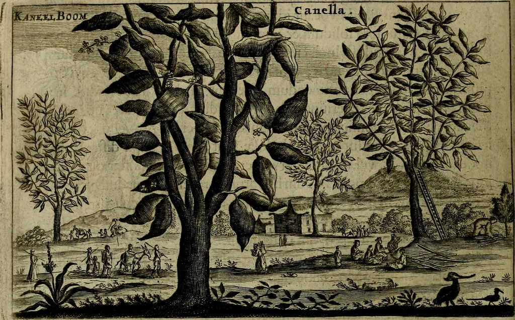 An illustration from Legatio Batavica ad magnum Tartariae chamum Sungteium, modernum Sinae imperatorem : historiarum narratione, quae legatis in provinciis Quantung, Kiangsi, Nanking, Xantung, Peking, & aula imperatoriâ ab anno 1655 ad annum 1657 obtigerunt, ut & ardua Sinensium in bello Tartarico fortunâ, provinciarum accurata geographia, urbium delineatione, nec non artis & naturae miraculis ex animalium, vegetabilium, mineralium genere per centum & quinquaginta aeneas figuras passim illustrata & conscripta vernacule, 1668, leaf 451