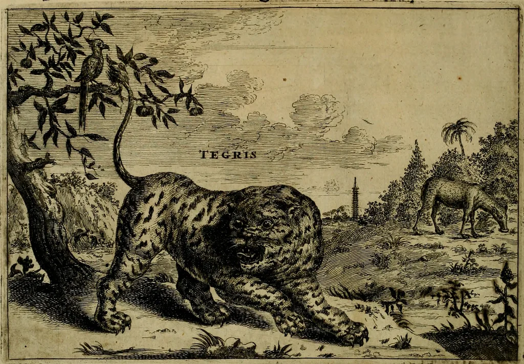 An illustration from Legatio Batavica ad magnum Tartariae chamum Sungteium, modernum Sinae imperatorem : historiarum narratione, quae legatis in provinciis Quantung, Kiangsi, Nanking, Xantung, Peking, & aula imperatoriâ ab anno 1655 ad annum 1657 obtigerunt, ut & ardua Sinensium in bello Tartarico fortunâ, provinciarum accurata geographia, urbium delineatione, nec non artis & naturae miraculis ex animalium, vegetabilium, mineralium genere per centum & quinquaginta aeneas figuras passim illustrata & conscripta vernacule, 1668, leaf 471