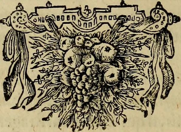 An illustration from Legatio Batavica ad magnum Tartariae chamum Sungteium, modernum Sinae imperatorem : historiarum narratione, quae legatis in provinciis Quantung, Kiangsi, Nanking, Xantung, Peking, & aula imperatoriâ ab anno 1655 ad annum 1657 obtigerunt, ut & ardua Sinensium in bello Tartarico fortunâ, provinciarum accurata geographia, urbium delineatione, nec non artis & naturae miraculis ex animalium, vegetabilium, mineralium genere per centum & quinquaginta aeneas figuras passim illustrata & conscripta vernacule, 1668, leaf 531