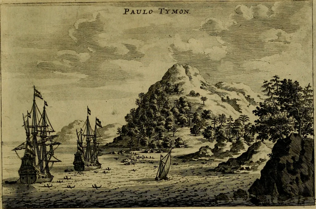 An illustration from Legatio Batavica ad magnum Tartariae chamum Sungteium, modernum Sinae imperatorem : historiarum narratione, quae legatis in provinciis Quantung, Kiangsi, Nanking, Xantung, Peking, & aula imperatoriâ ab anno 1655 ad annum 1657 obtigerunt, ut & ardua Sinensium in bello Tartarico fortunâ, provinciarum accurata geographia, urbium delineatione, nec non artis & naturae miraculis ex animalium, vegetabilium, mineralium genere per centum & quinquaginta aeneas figuras passim illustrata & conscripta vernacule, 1668, leaf 60