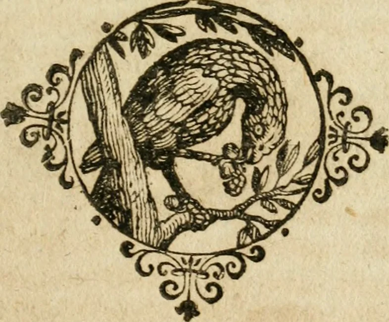 An illustration from Batavischer Wechsel-Reihen, das ist: Kurtze Vorstellung der Grund-Ursachen, wodurch sich das Frantzösisch-Holländische Kriegs-Feuer, so von dar aus nunmehr durch gantz Europa aufgeflammet, entzündet, und um derent willen so urplötzliche zerrütt- und abwechslung in denen vereiningten Provintzen erfolget, 1678, leaf 100
