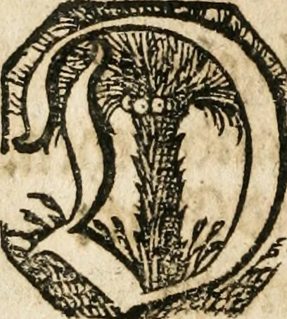 An illustration from Batavischer Wechsel-Reihen, das ist: Kurtze Vorstellung der Grund-Ursachen, wodurch sich das Frantzösisch-Holländische Kriegs-Feuer, so von dar aus nunmehr durch gantz Europa aufgeflammet, entzündet, und um derent willen so urplötzliche zerrütt- und abwechslung in denen vereiningten Provintzen erfolget, 1678, leaf 7
