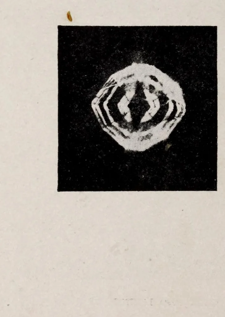 An illustration from Batik and other pattern dyeing, 1920, leaf 124