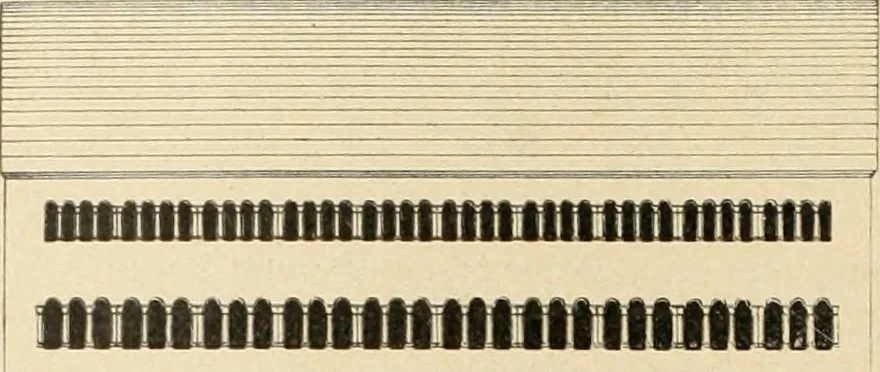 An illustration from Bau- und Kunstdenkmäler von Westfalen. Im Auftrage des Provinzial-Verbandes der Provinz Westfalen, 1897, leaf 49