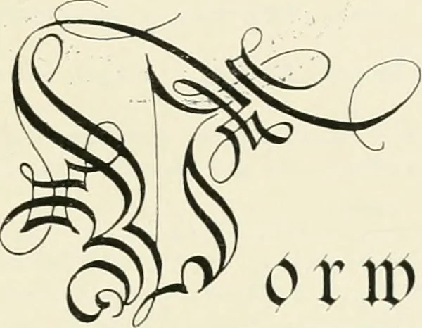 An illustration from Bau- und Kunstdenkmäler von Westfalen. Im Auftrage des Provinzial-Verbandes der Provinz Westfalen, 1897, leaf 8