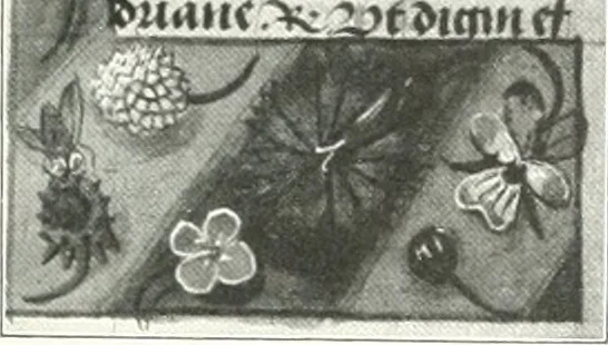 An illustration from Bau- und Kunstdenkmäler von Westfalen. Im Auftrage des Provinzial-Verbandes der Provinz Westfalen, 1897, leaf 74