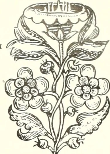 An illustration from Bau- und Kunstdenkmäler von Westfalen. Im Auftrage des Provinzial-Verbandes der Provinz Westfalen, 1897, leaf 178