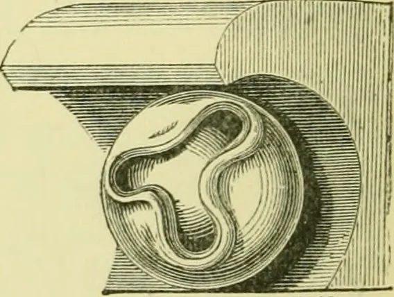 An illustration from A B C of Gothic architecture, 1907, leaf 169