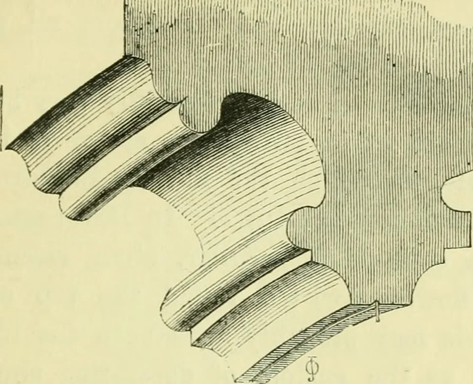 An illustration from A B C of Gothic architecture, 1907, leaf 218
