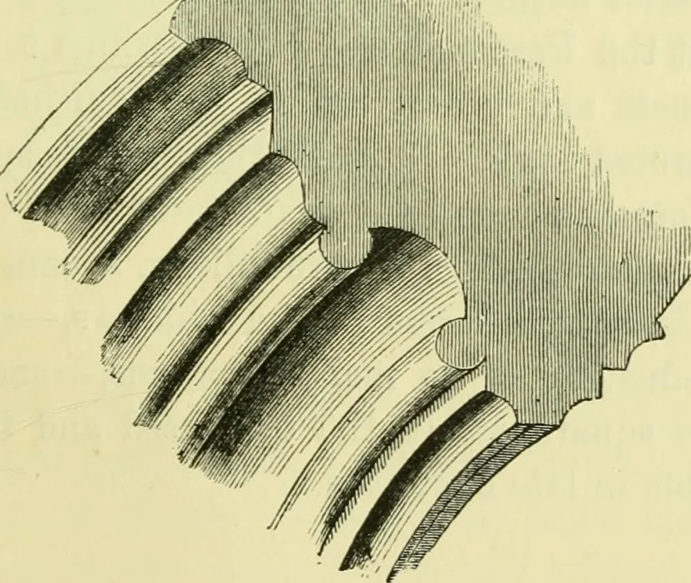 An illustration from A B C of Gothic architecture, 1907, leaf 218