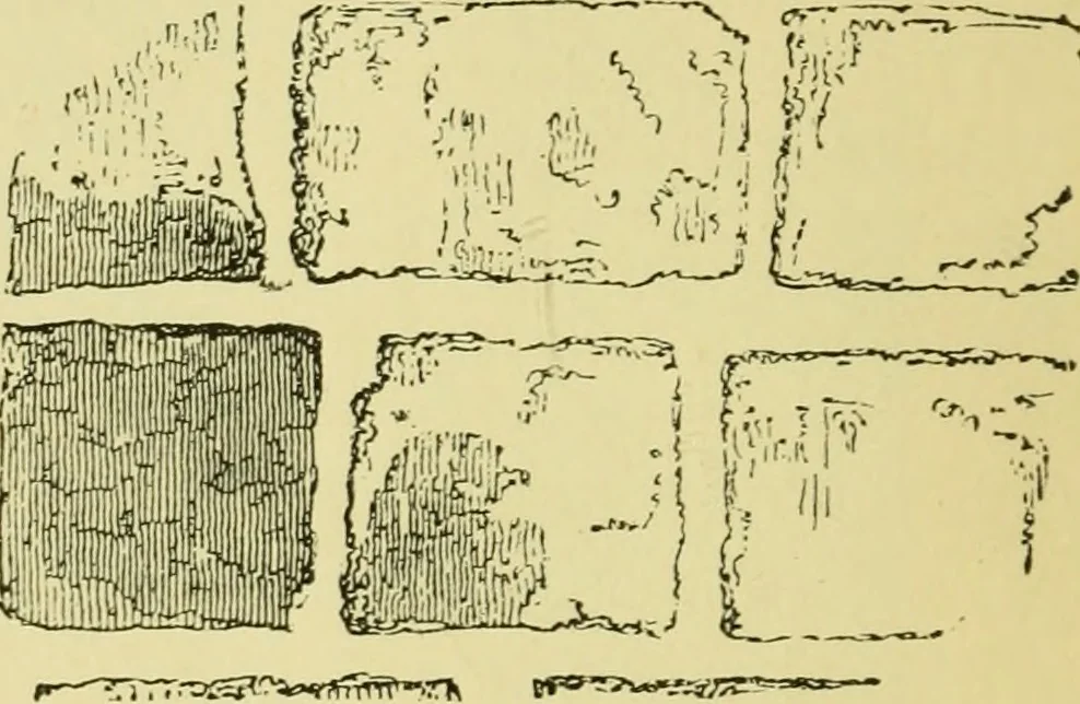 An illustration from A B C of Gothic architecture, 1907, leaf 29