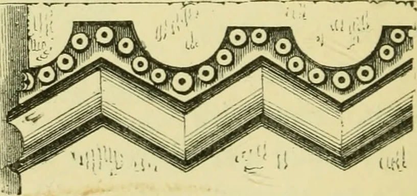 An illustration from A B C of Gothic architecture, 1907, leaf 67