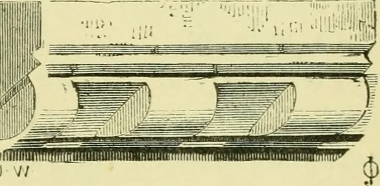 An illustration from A B C of Gothic architecture, 1907, leaf 68