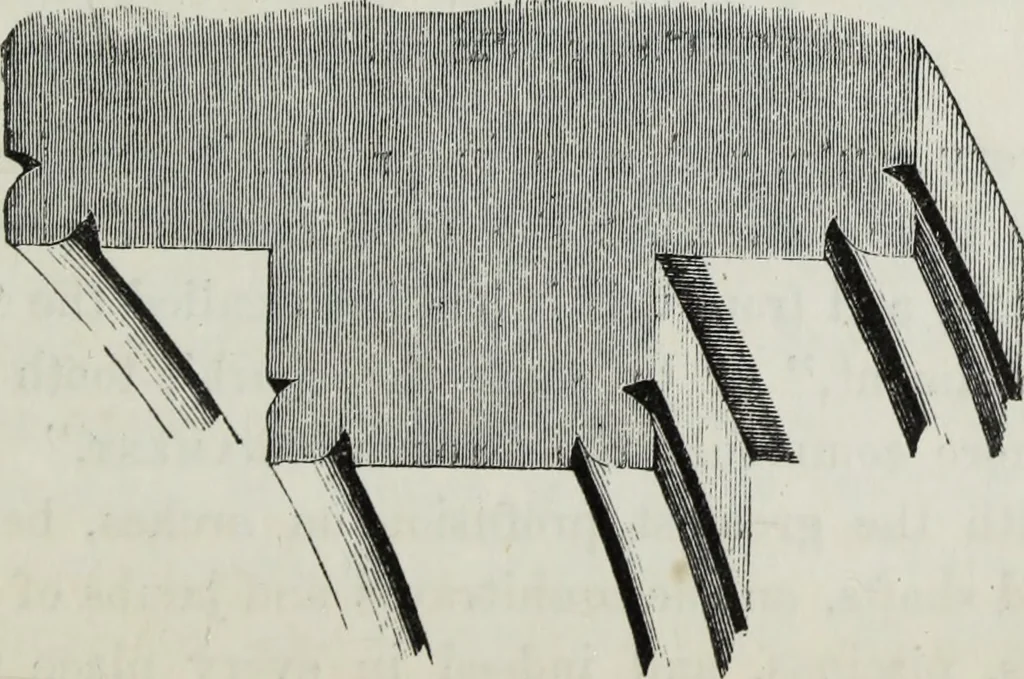 An illustration from A B C of Gothic architecture, 1882, leaf 118