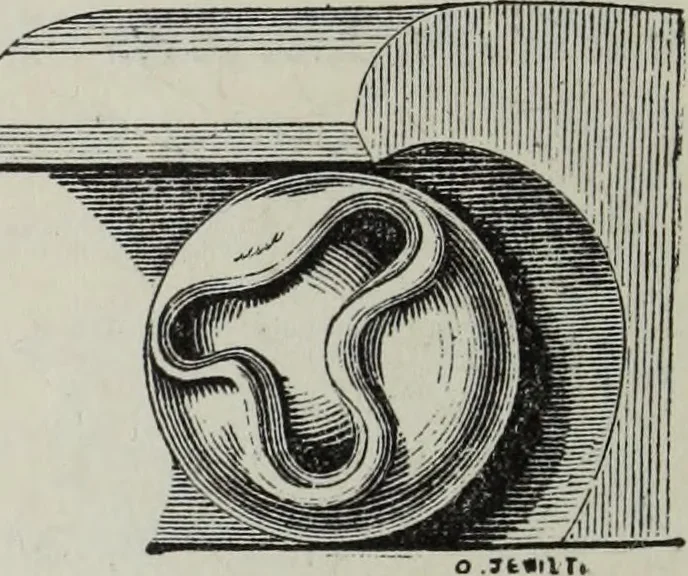 An illustration from A B C of Gothic architecture, 1882, leaf 169