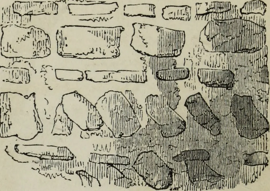 An illustration from A B C of Gothic architecture, 1882, leaf 25