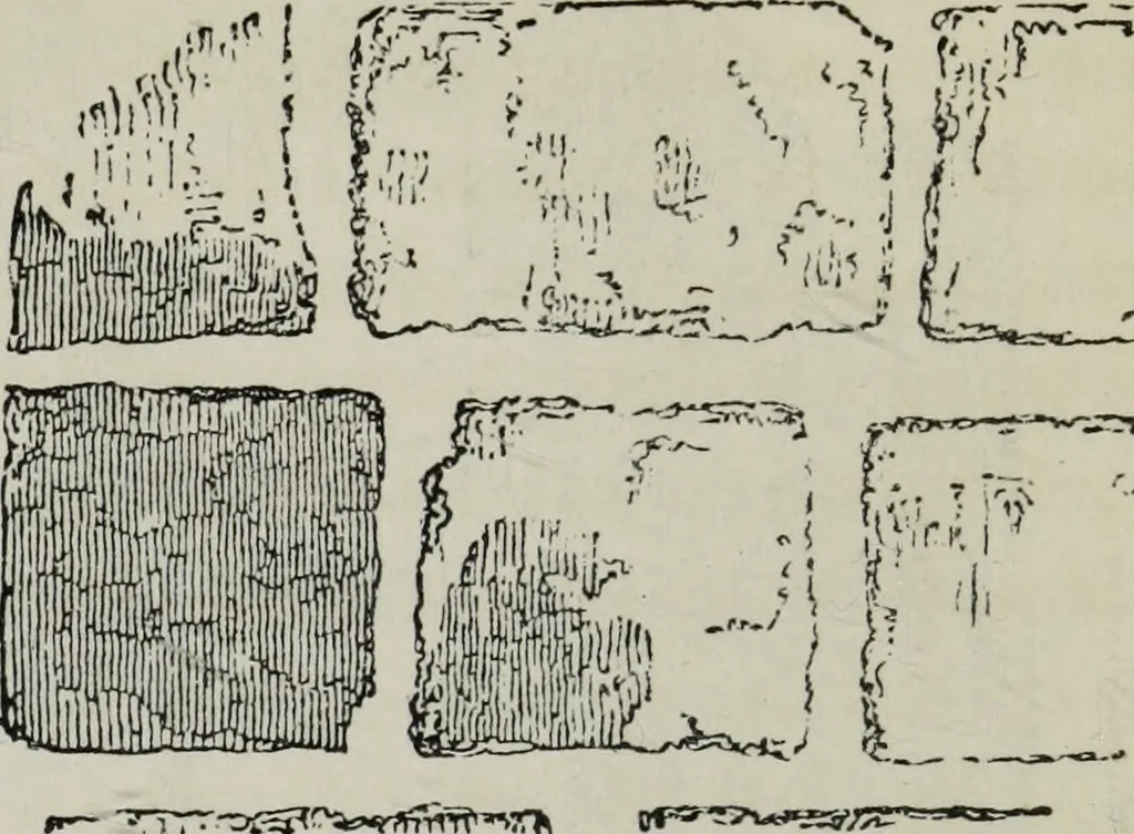 An illustration from A B C of Gothic architecture, 1882, leaf 29