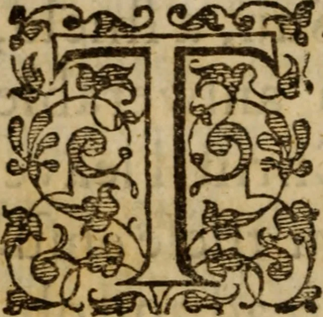 An illustration from Beames of divine light, breaking forth from severall places of Holy Scripture, as they were learnedly opened, in XXI. sermons ; The III. first being the fore-going sermons to that treatise called The bruised-reed, preached on the precedent words, by ... Richard Sibs .., 1639, leaf 13